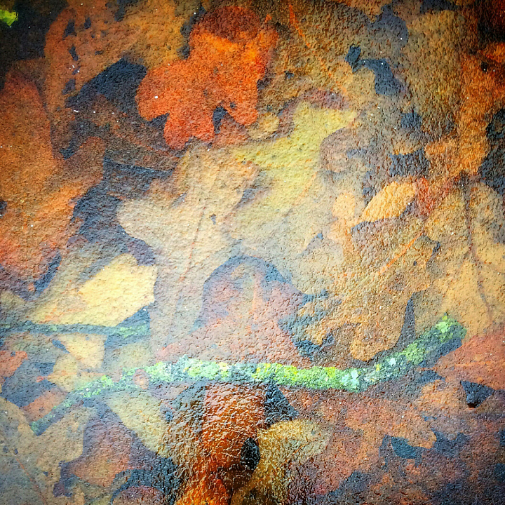 Realistic Autumn Leaf Ground seamless PBR texture preview