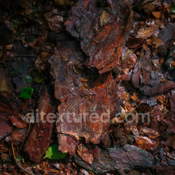 seamless High-Resolution Wood Bark Texture with Natural Forest Floor Debris texture 8k free download PBR