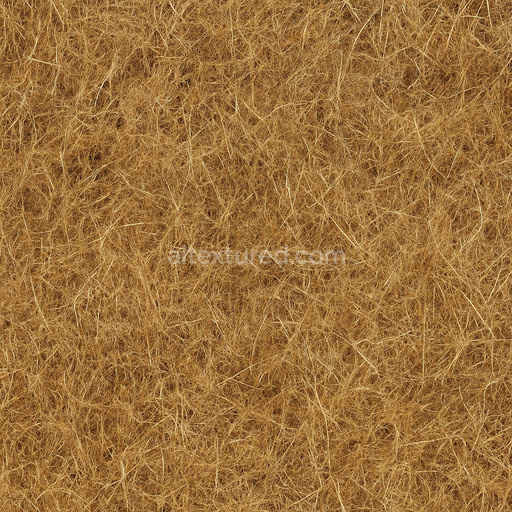 Dry Meadow Texture