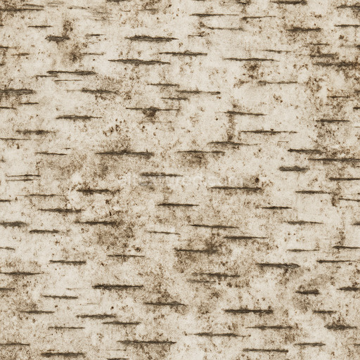 Dirty Birch Texture Seamless 1024X1024