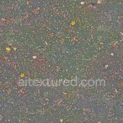seamless Ground Seamless Pbr Texture Natural Grass Fallen Leaves Dirt Earthy texture 8k free download PBR