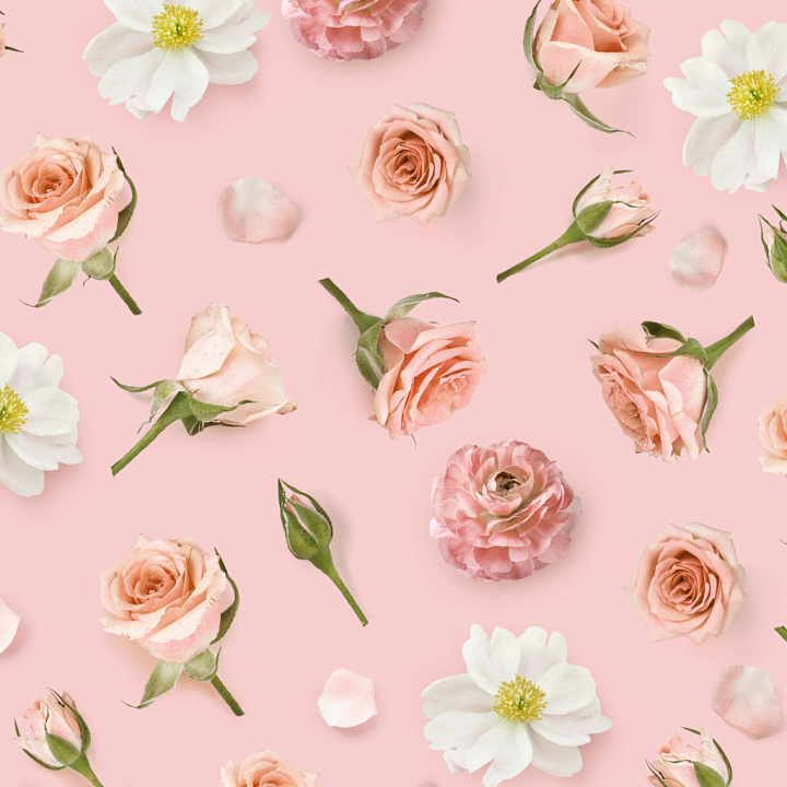 Featuring Soft Pink Roses and White Flowers on Pastel Background seamless PBR texture preview