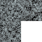 Foam