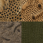 Animal skin