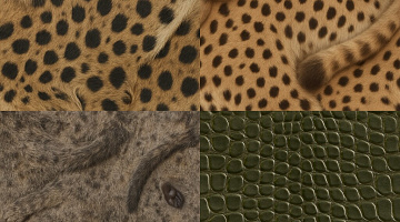 Animal skin category preview