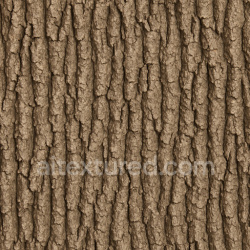 seamless Clean Oak Bark Texture Seamless 1024X1024 texture 1024x1024 free download PBR