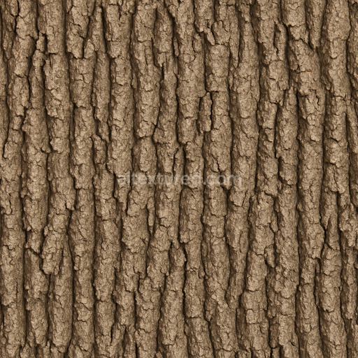 Clean Oak Bark Texture Seamless 1024X1024
