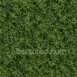 seamless Rough Dense Foliage Texture Seamless 1024X1024 texture 1024x1024 free download PBR
