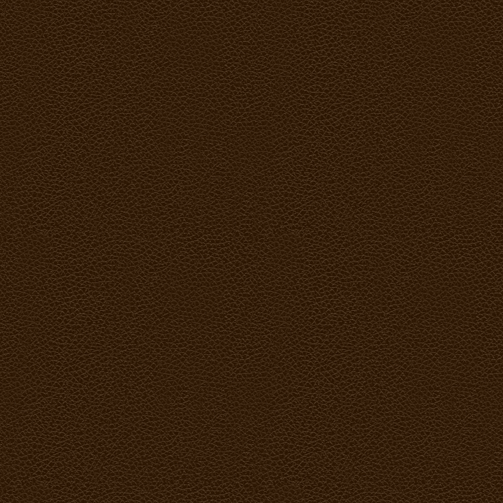 Animal Brown Leather Organic seamless PBR texture preview