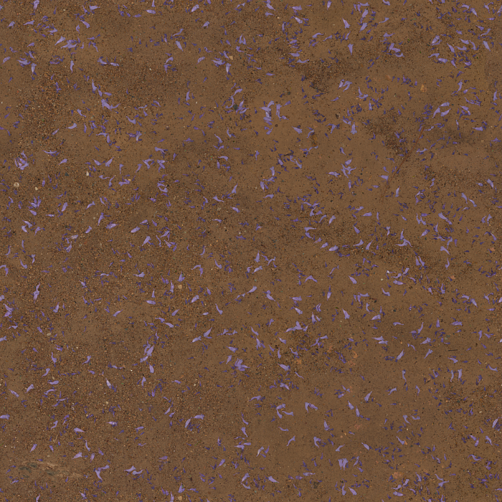 Flower Scattered Dirt - Flowers Jacaranda Scattered Scattered Earth Soil seamless PBR texture preview