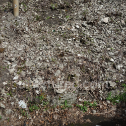 seamless Natural Rocky Ground Texture with Debris and Vegetation texture 8k free download PBR