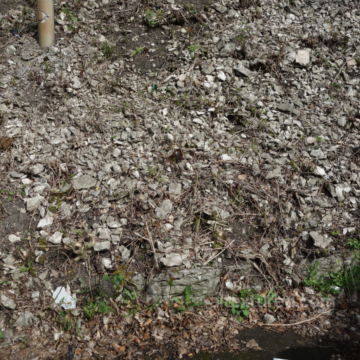 Natural Rocky Ground Texture with Debris and Vegetation seamless Ground surface PBR texture