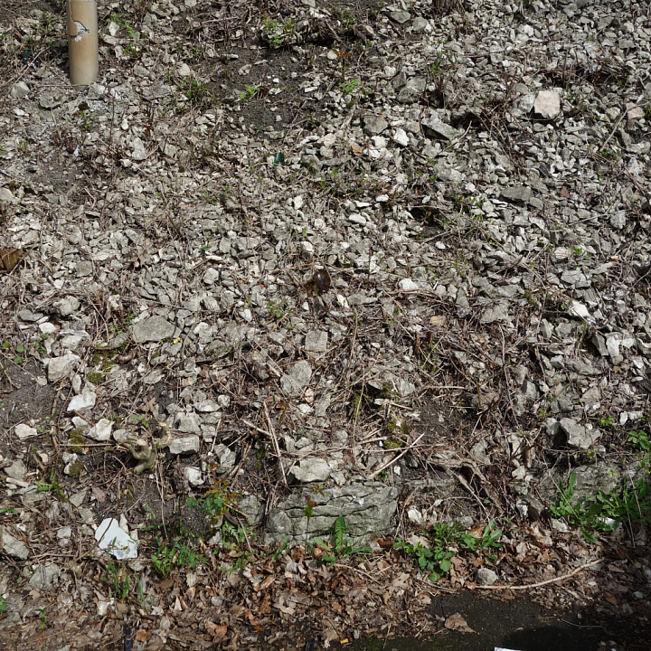 Natural Rocky Ground with Debris and Vegetation seamless PBR texture preview