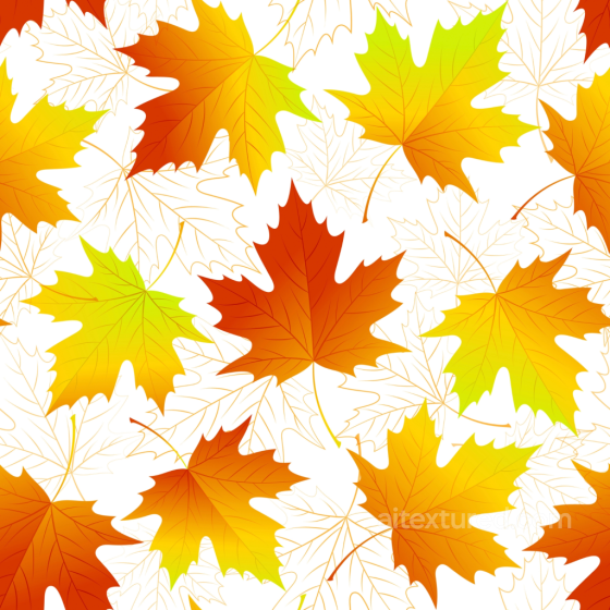 Autumn Leaves Texture of Colorful Autumn Maple Leaves Pattern Autumn Leaves texture preview