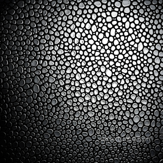 cracked skin PBR texture featuring fine organic scale patterns and high-contrast tonal de… Skin texture preview
