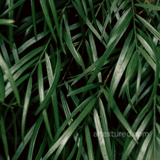 Detailed Dense Green Grass Texture for 3D Ground Surfaces seamless Foliage PBR texture