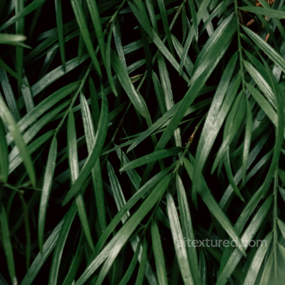 Detailed Dense Green Grass Texture for 3D Ground Surfaces Foliage texture preview