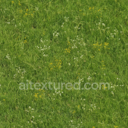seamless Natural Meadow Texture texture 1024x1024 free download PBR