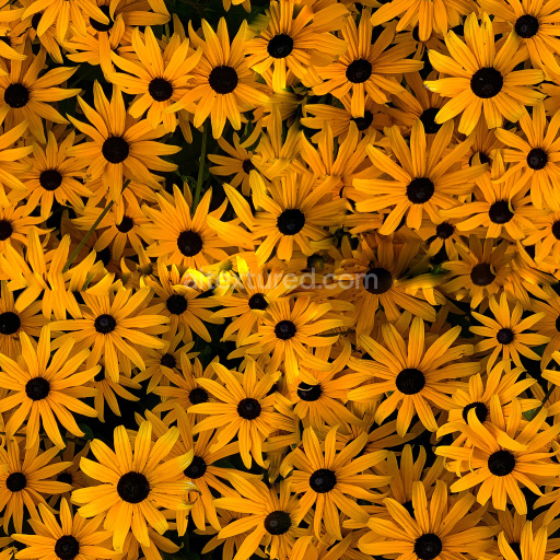 Stunning CC Seamless Flower Texture