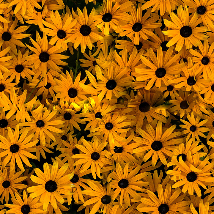 Stunning CC Flower seamless PBR texture preview
