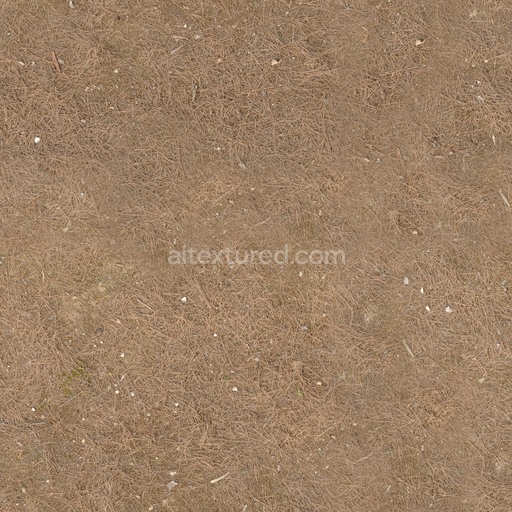 Pine Needles — Needles Forest Terrain Outdoor Natural — PBR seamless 3D texture