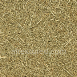 seamless Loose Hay Seamless Texture texture 1024x1024 free download PBR