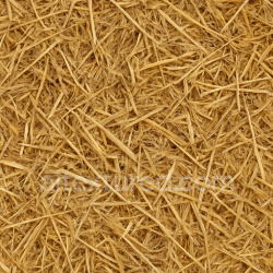 seamless Fresh Barn Straw Seamless Texture texture 1024x1024 free download PBR