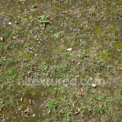 seamless Natural Ground Texture with Moss, Weeds, and Rocks PBR 4K texture 8k free download PBR
