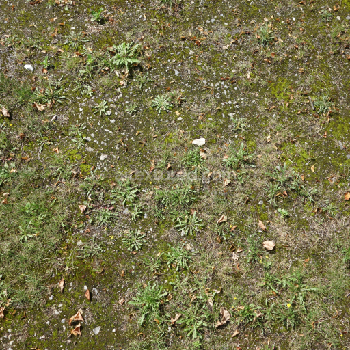 Natural Ground Texture with Moss, Weeds, and Rocks PBR 4K