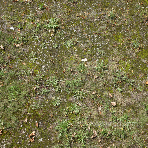 Natural Ground Texture with Moss, Weeds, and Rocks PBR 4K seamless Ground surface PBR texture