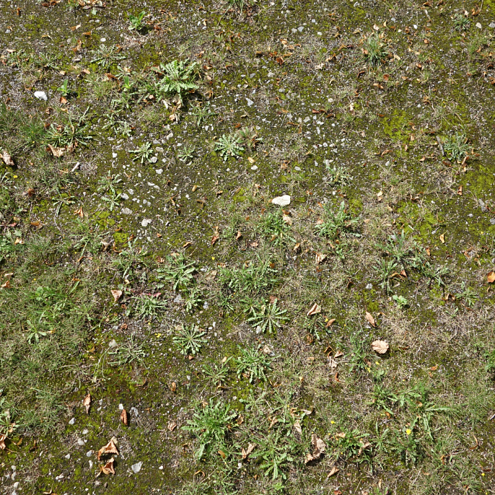 Natural Ground with Moss, Weeds, and Rocks seamless PBR texture preview