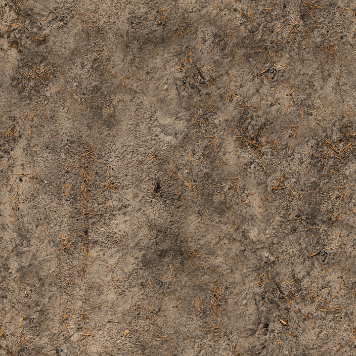 Forest Sand Wood seamless PBR texture preview