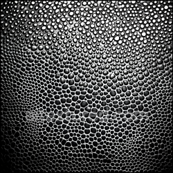 seamless Seamless 3D Reptilian Skin PBR Texture with Detailed Scales in Black and White texture 8k free download PBR