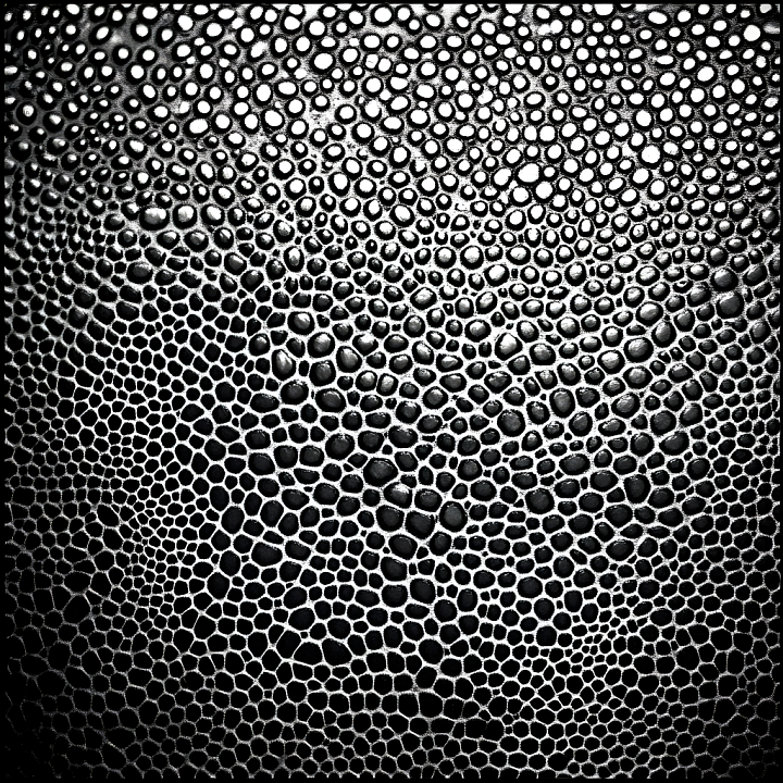 Reptilian Skin with Detailed Scales in Black and White seamless PBR texture preview