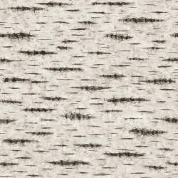 seamless Patterned Birch Bark Texture Seamless 1024X1024 texture 1024x1024 free download PBR