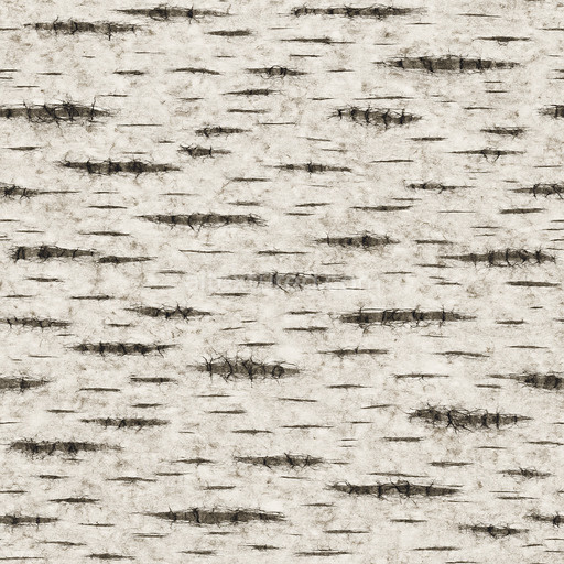Patterned Birch Bark Texture Seamless 1024X1024