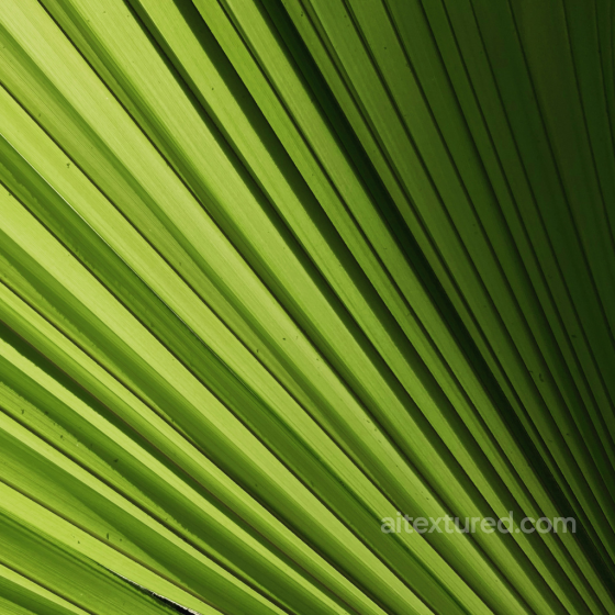 Detailed Green Palm Leaf Texture with Natural Veins and Structure Fabric texture preview