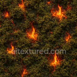seamless Burning Moss Texture texture 1024x1024 free download PBR