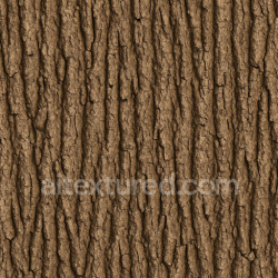 seamless Smooth Oak Bark Texture Seamless 1024X1024 texture 1024x1024 free download PBR