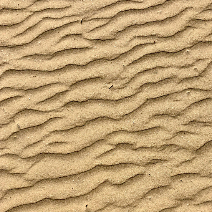 Sand Featuring Natural Ripple Patterns seamless PBR texture preview