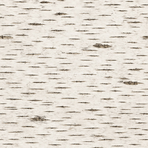 High Resolution Birch Bark Texture Seamless 1024X1024