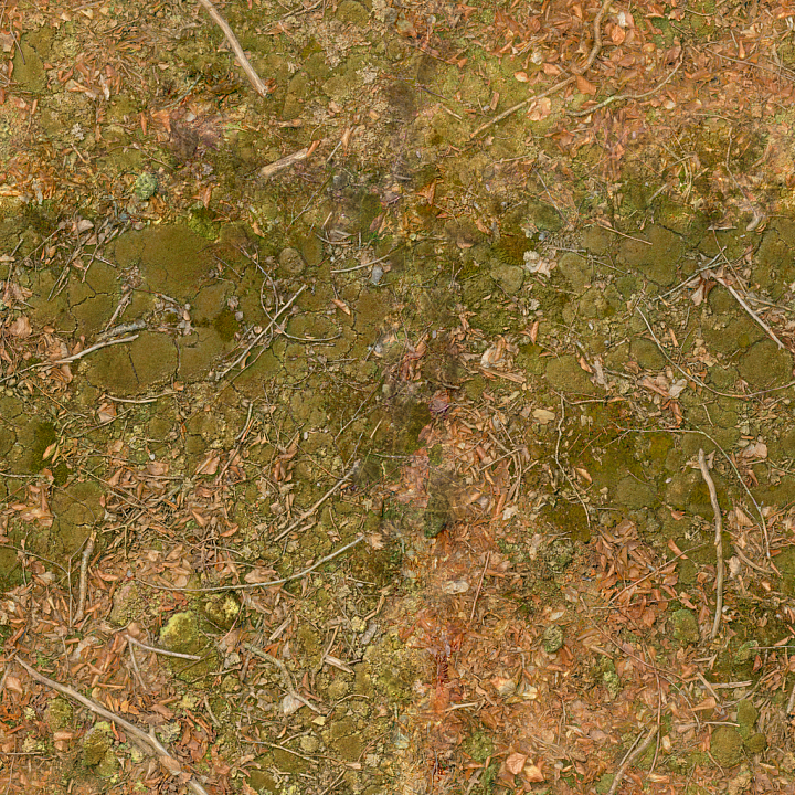 Leaves Twigs - Moss Sticks Leaves Twigs Autumn Mossy seamless PBR texture preview