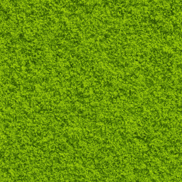 Bright Moss seamless PBR texture preview
