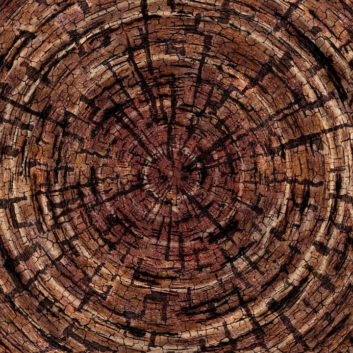 Cross Section of Wood Log seamless PBR texture preview