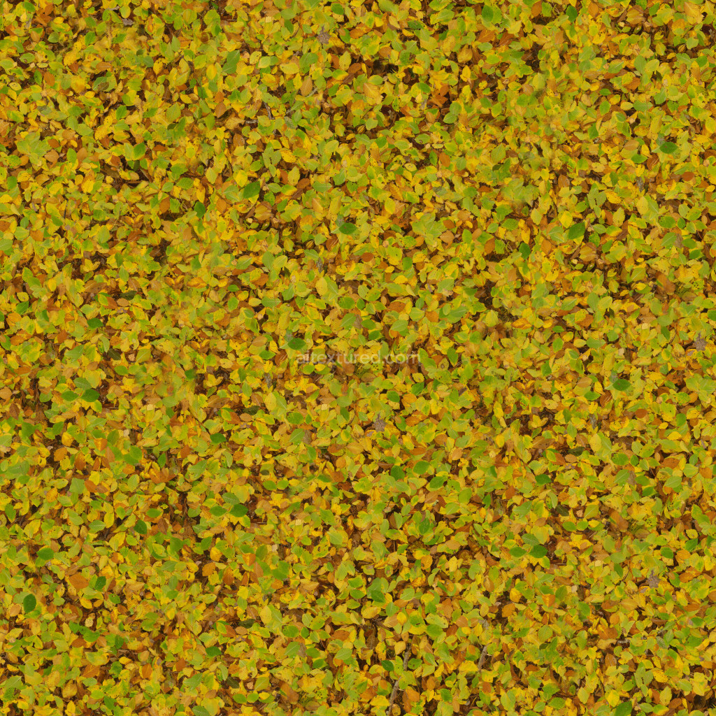 Seamless texture of scattered leaves in vibrant colors