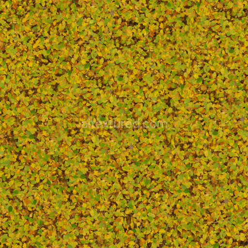 Leaves Scattered Nature Ground Organic Texture Seasonal