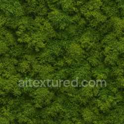 seamless Patterned Forest Moss Texture Seamless texture 8k free download PBR