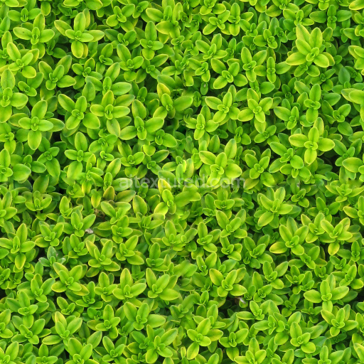 IVY Seamless PBR Texture for Games