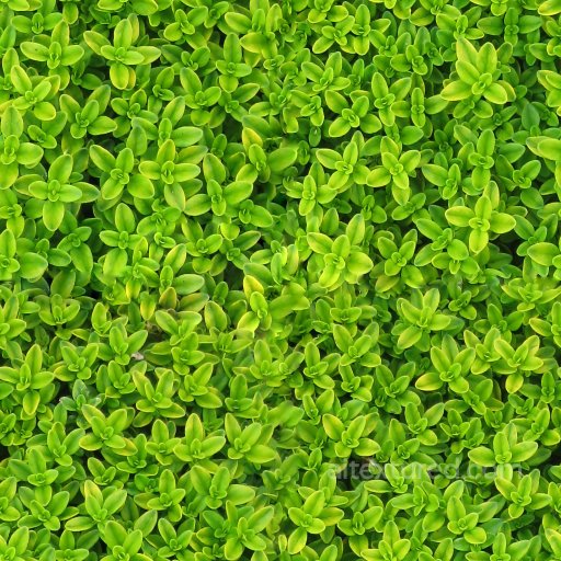 IVY Seamless PBR Texture for Games seamless Foliage PBR texture