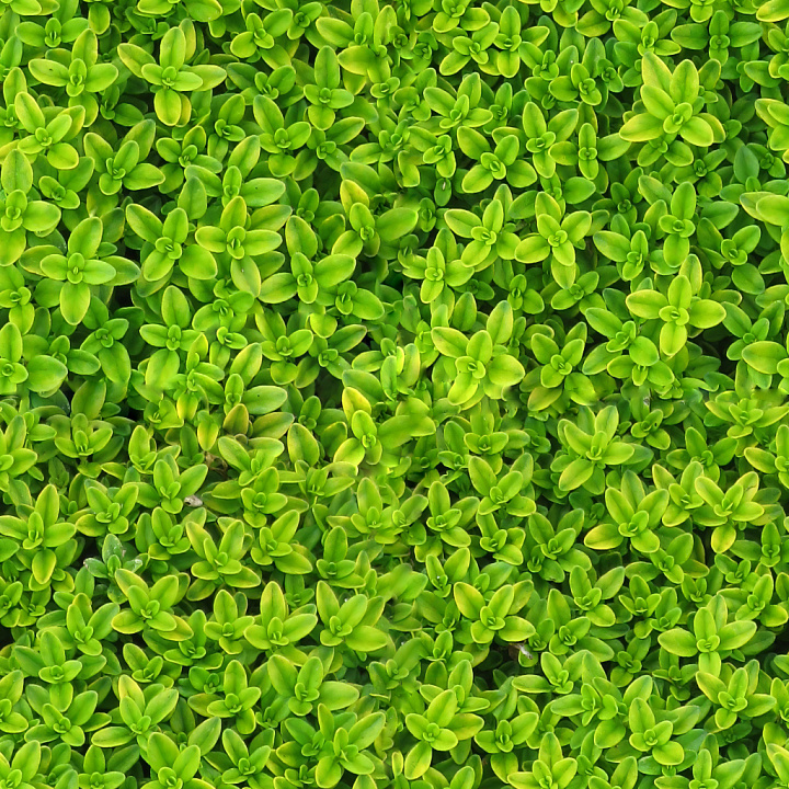 IVY for Games seamless PBR texture preview